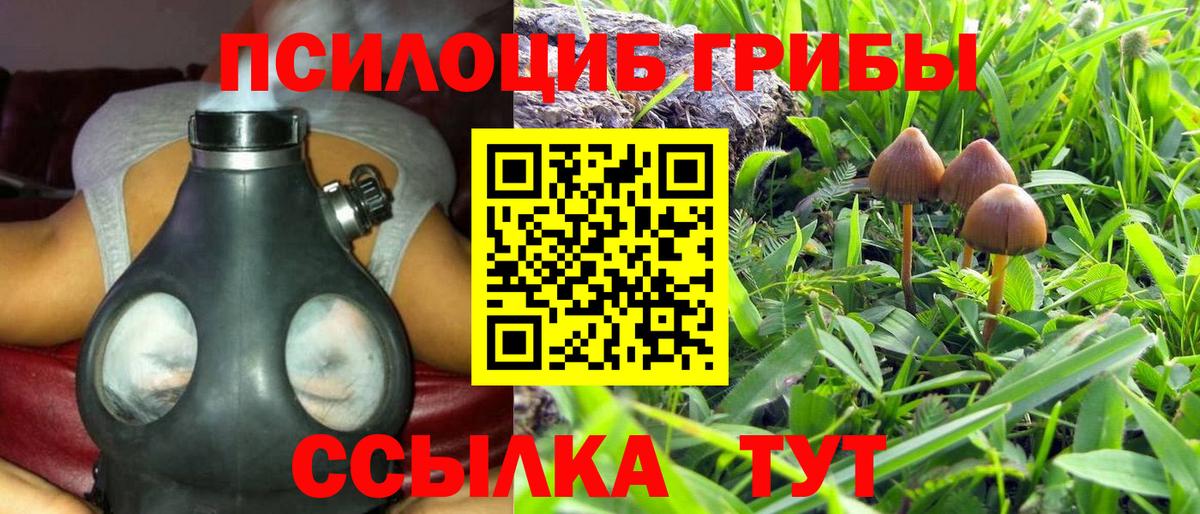 Галлюциногенные грибы GOLDEN TEACHER  Вход с VPN  Тулун  Галлюциногенные грибы GOLDEN TEACHER 